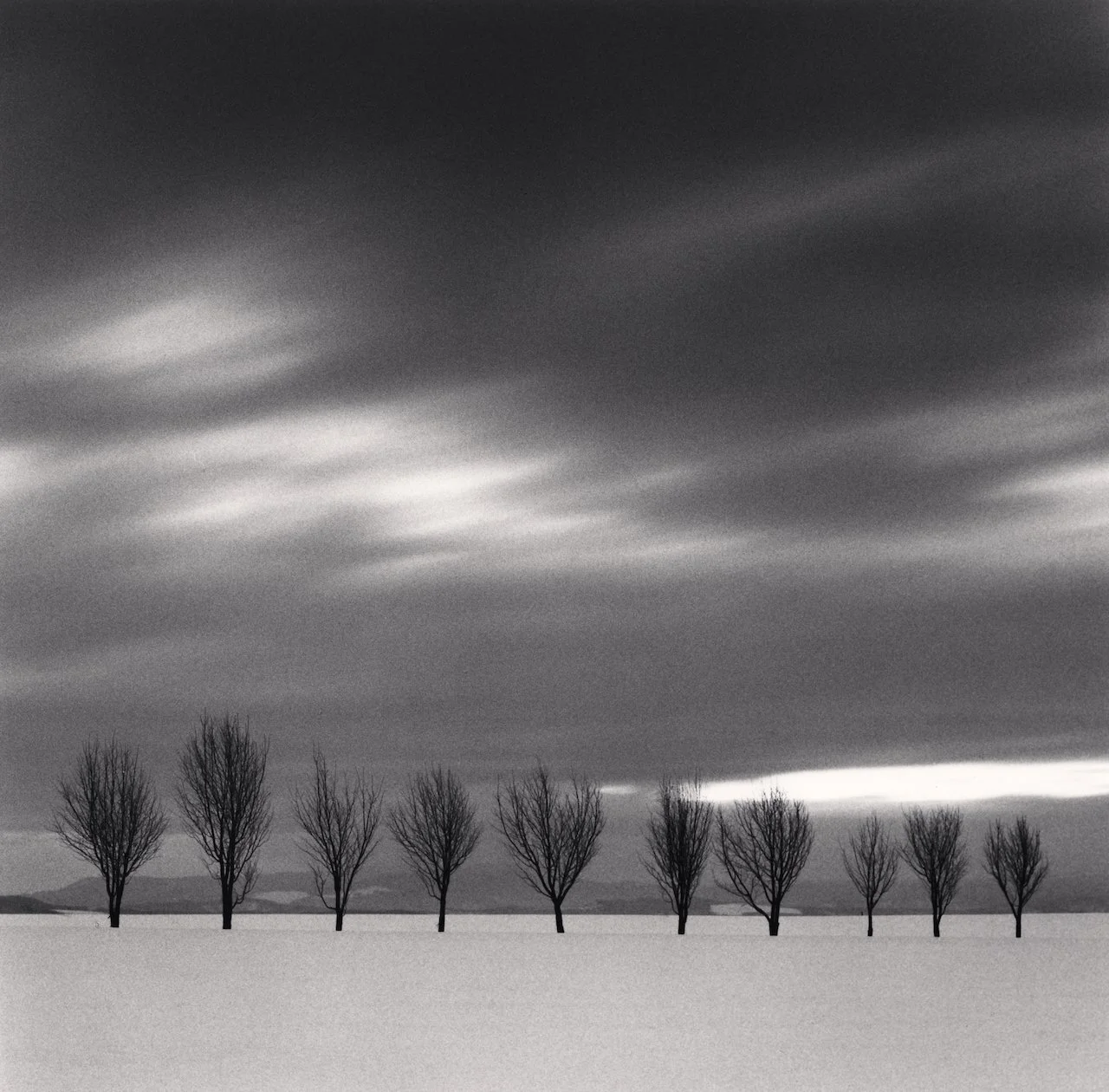 Michael Kenna: Ten Japanese Elms, Hokkaido, Japan. 2024 — PDNB